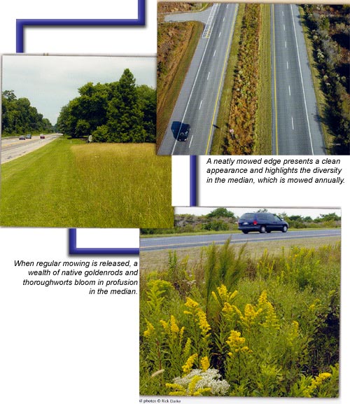 collage showing divided highwayand roadwide vegetation