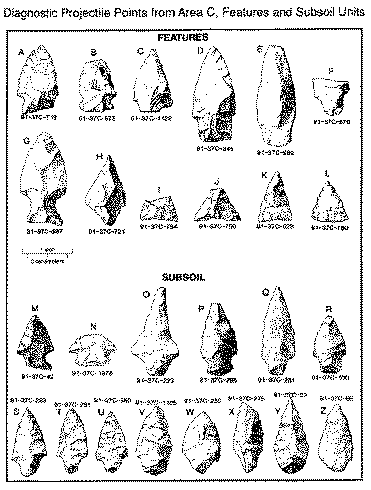 Diagnostic Projectile Points from Area C