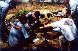 helpers at the dig site